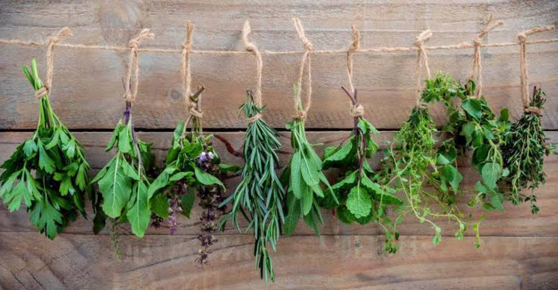 Dry herbs supplier in Pune - Laghate Overseas